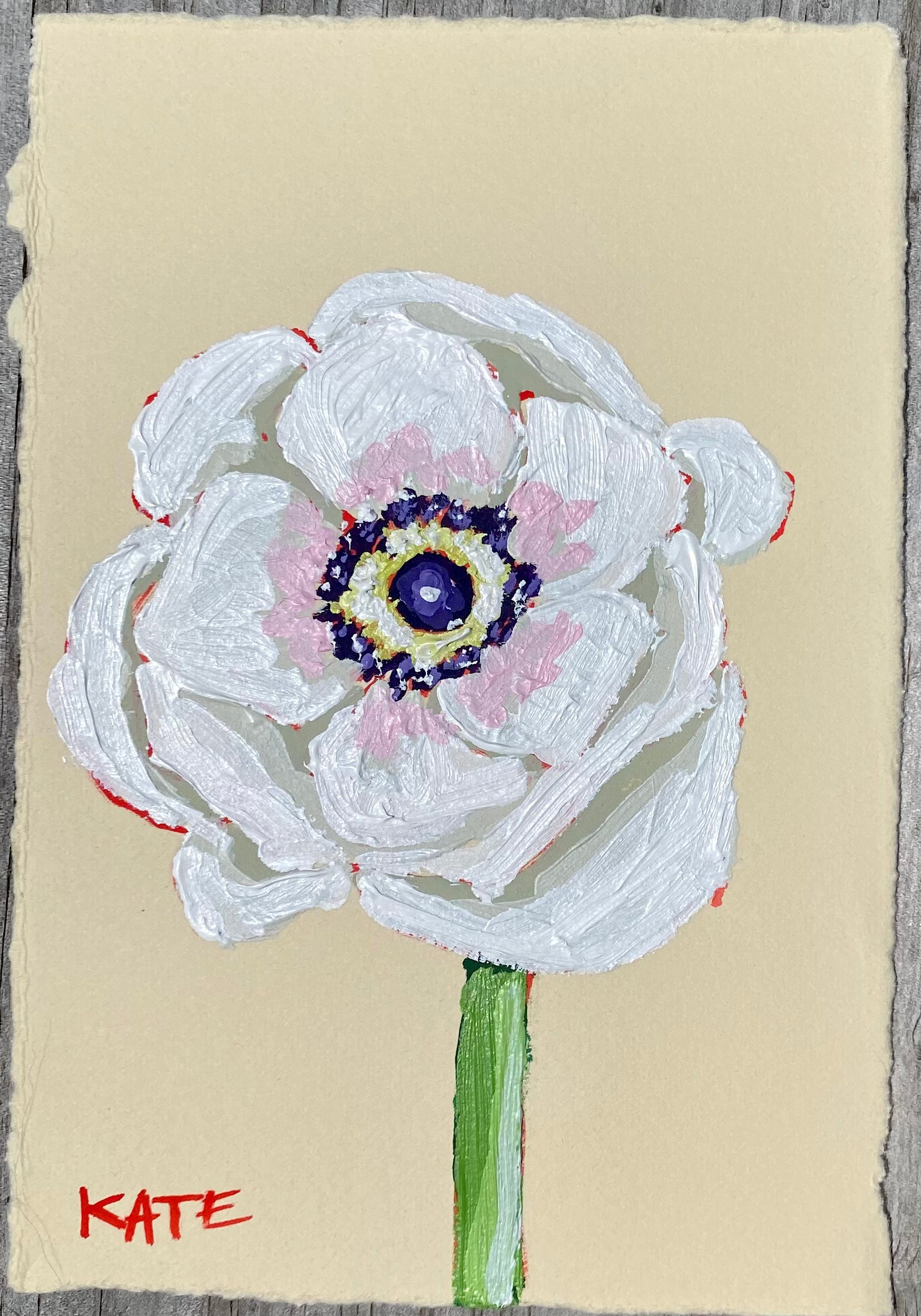 Anemone 6x4