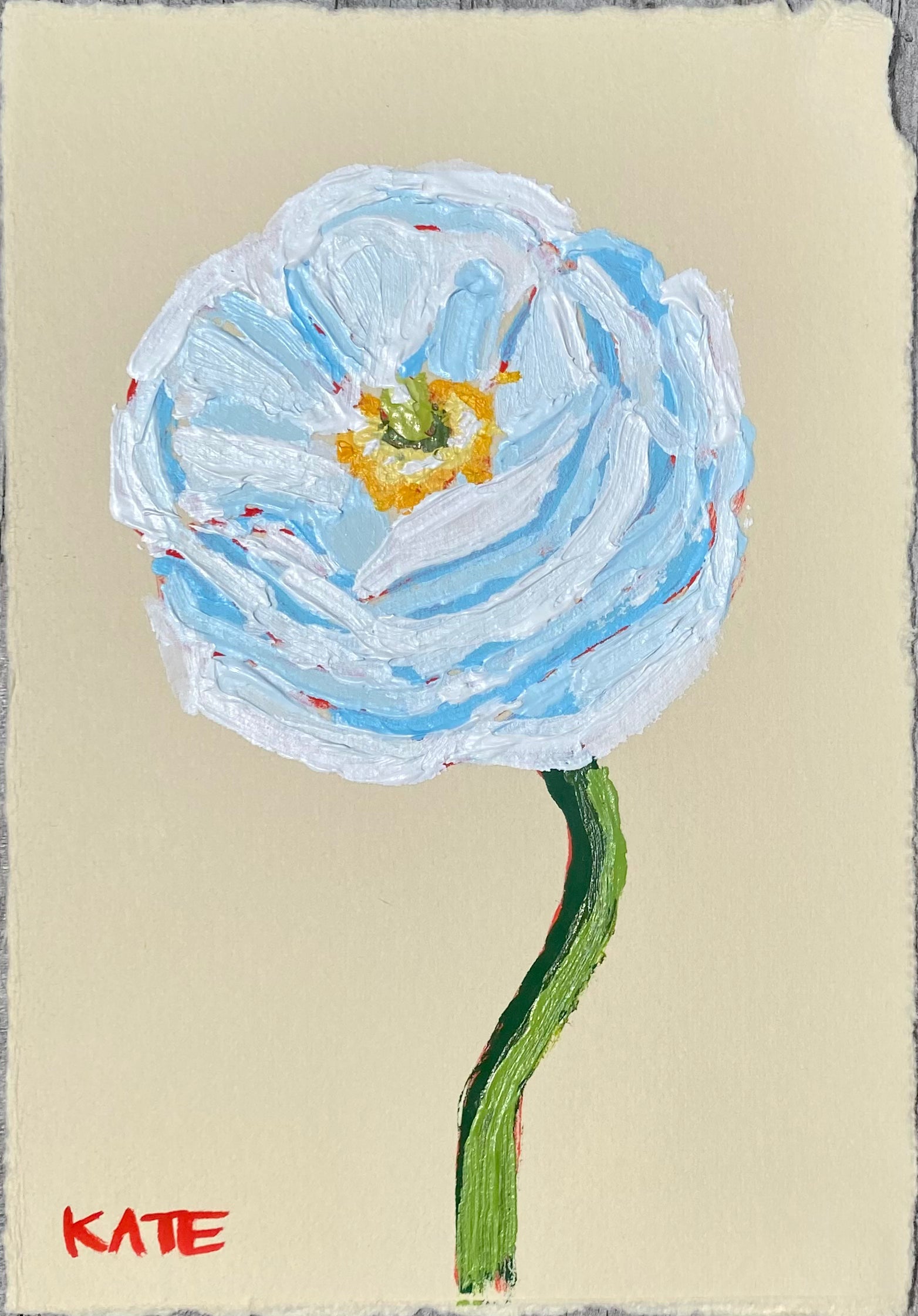 Ranunculus 6x4