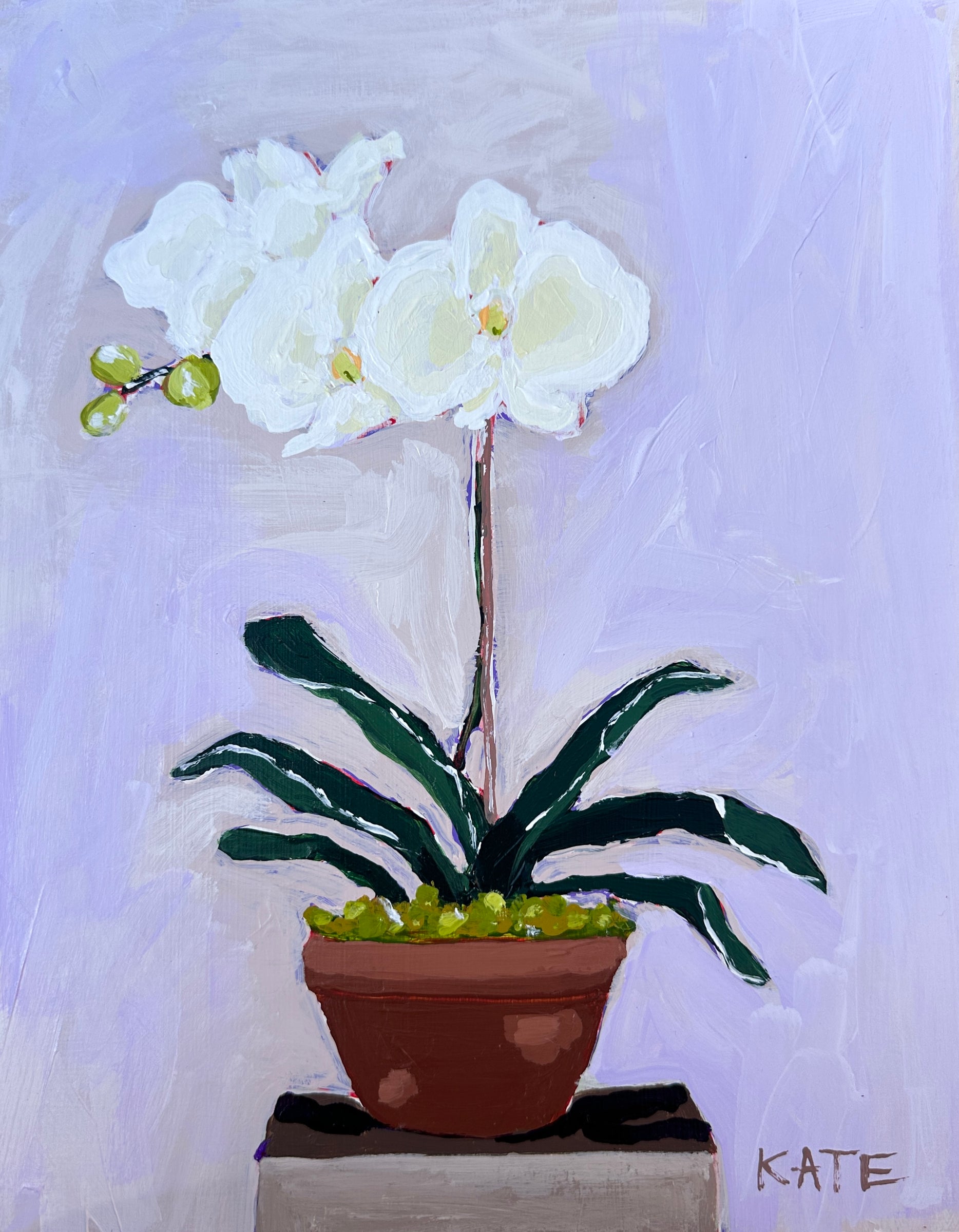 Orchid for Amy 10x8