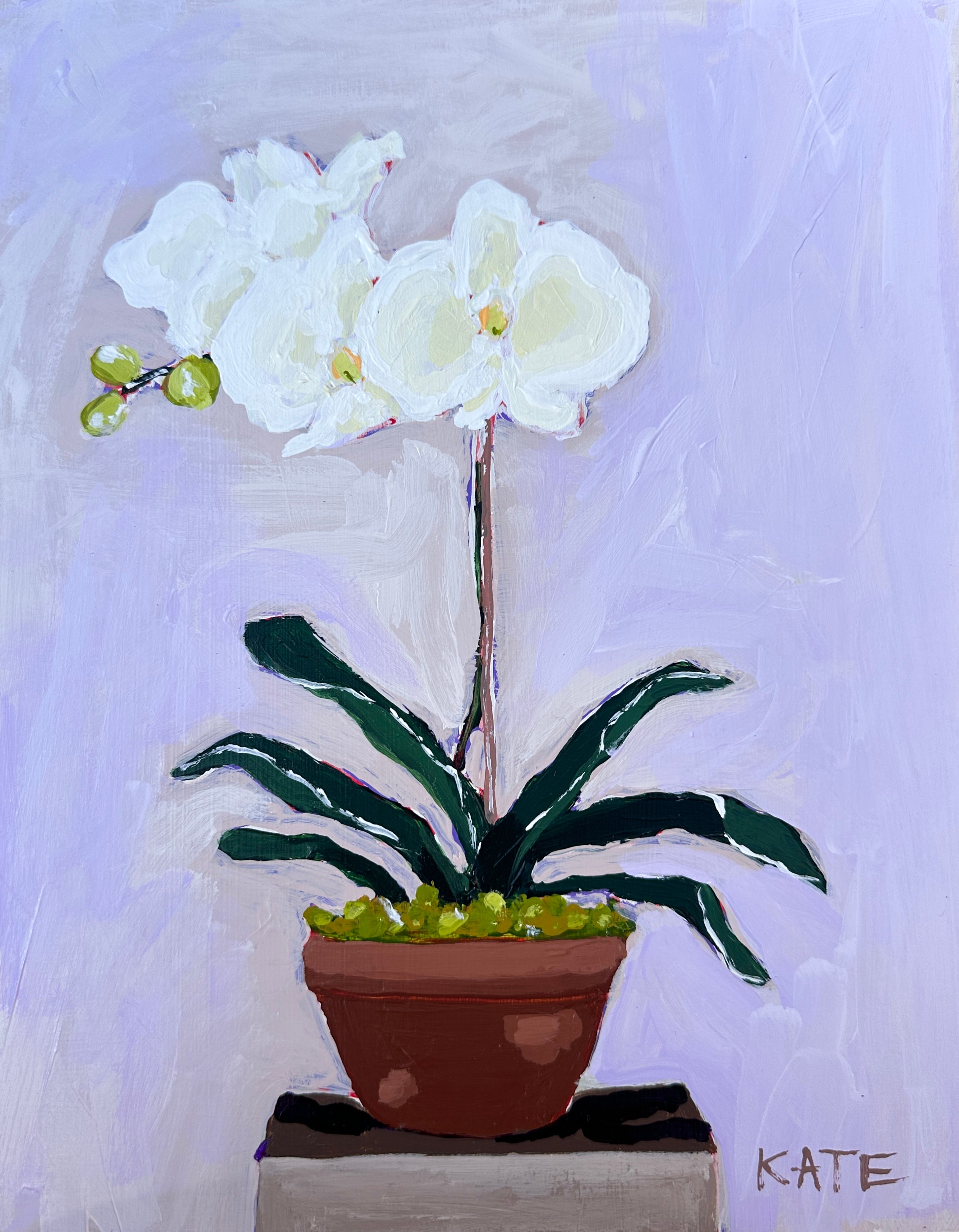 Orchid for Amy 10x8