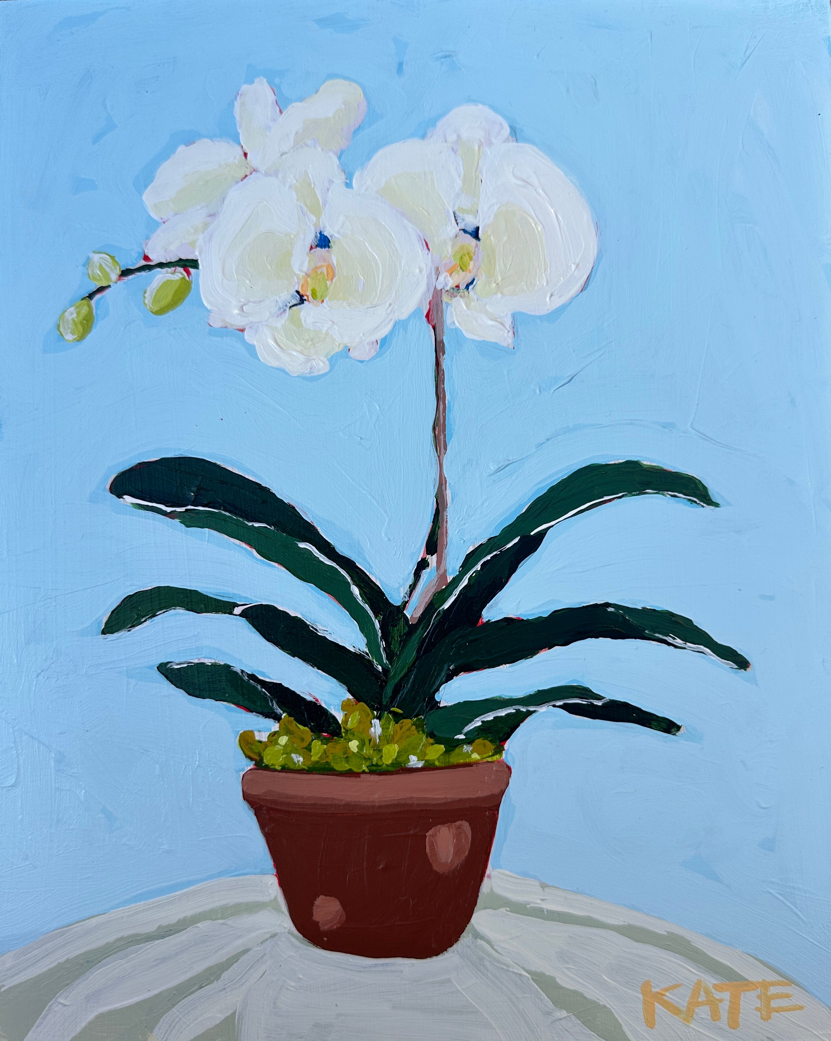 Orchid for Bridget 10x8