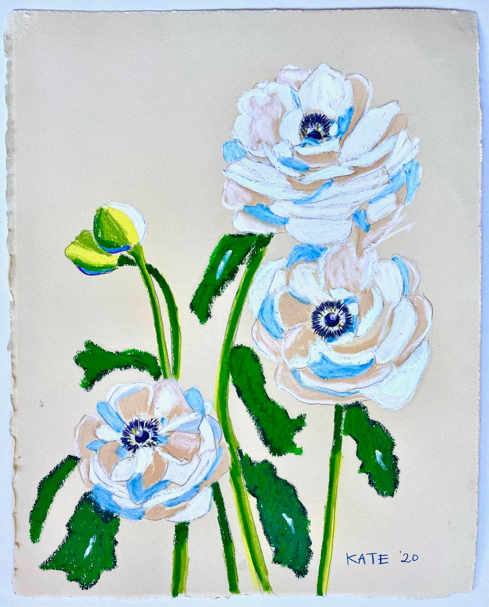 Anemones for Blakely 15x18