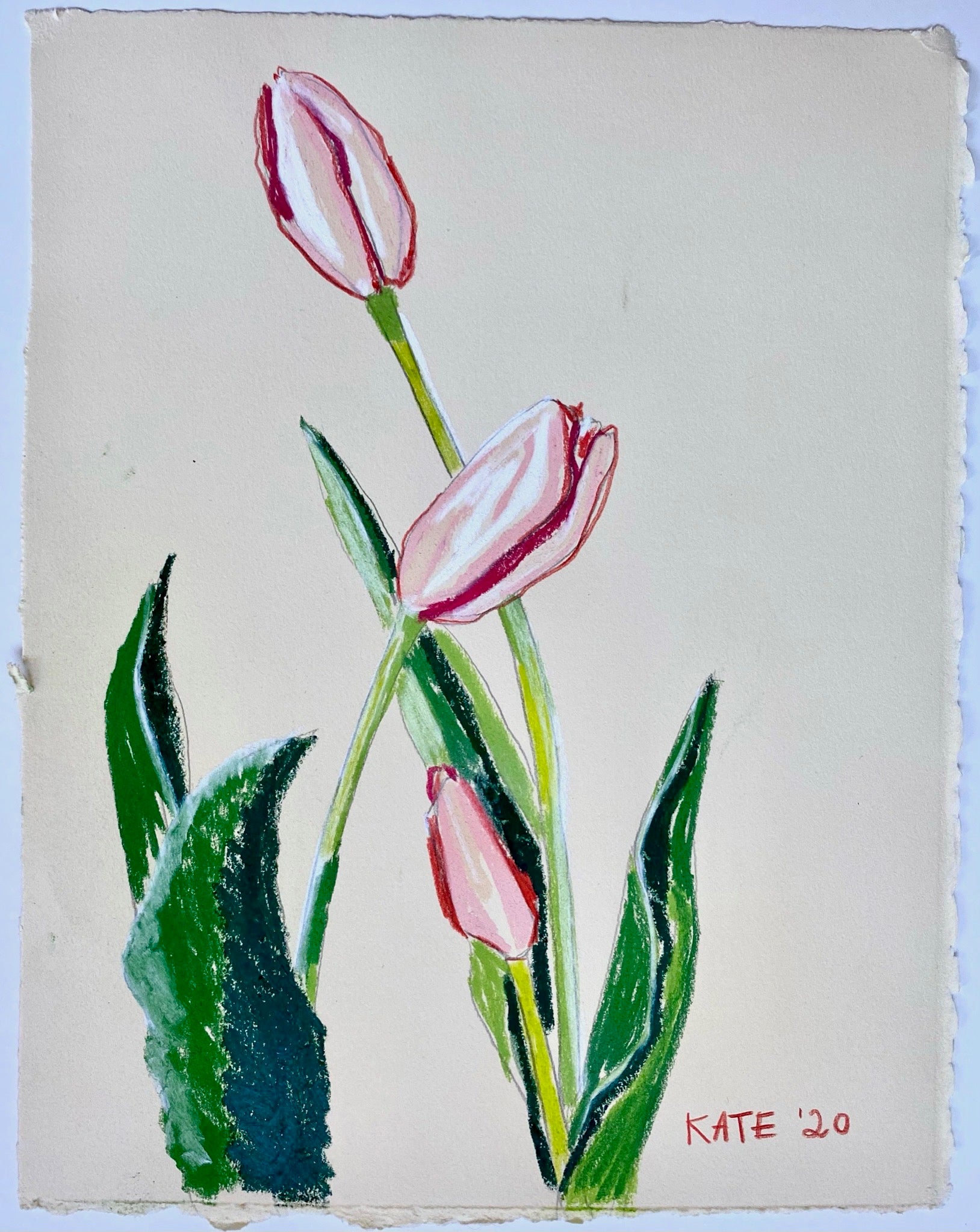 Tulips for Allison 15x18